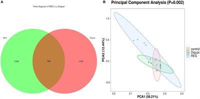 Resveratrol Attenuates Diquat-Induced Oxidative Stress by Regulating Gut Microbiota and Metabolome Characteristics in Piglets